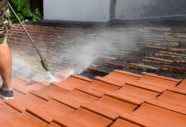 Best Affordable Power Washing  in Markle, IN