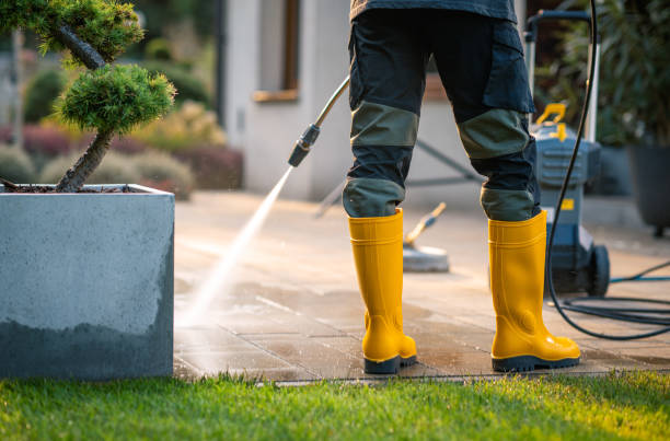 Best Roof Pressure Washing  in Markle, IN